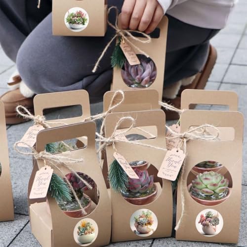 500PCS Succulent Stickers Roll Waterproof Vinyl Round Potted Plant Decals Cute Botanical Stickers for Gift Bags Envelopes Water Bottles Scrapbooking Kids Party Favors Teens Adults Crafts Journal