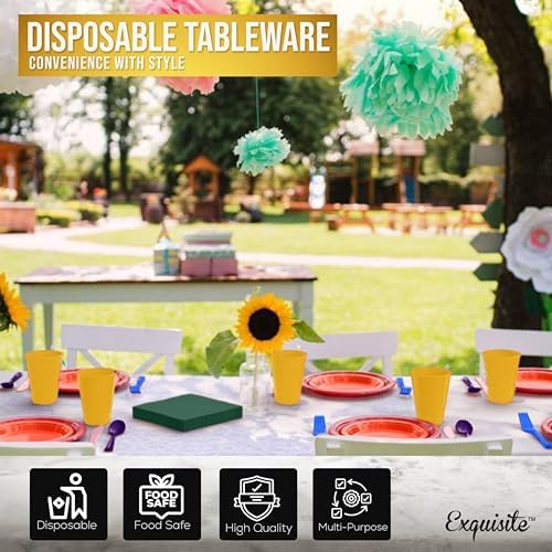 Exquisite 350 Pcs Rainbow Plates and Napkins Party Supplies Plate Sets