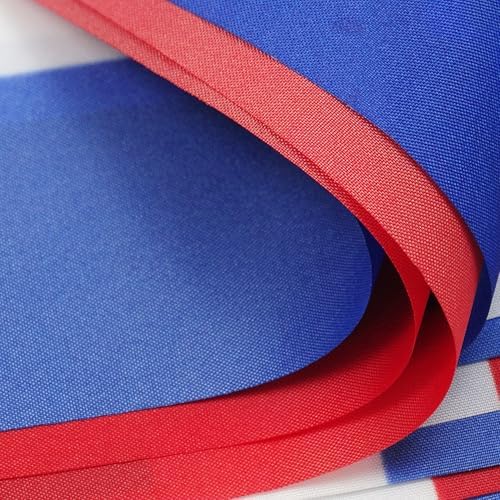AZ FLAG Guam Bunting 20 ft 20 flags Light Polyester