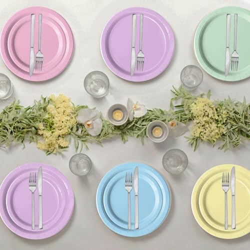 Oigco 150 PCS Pastel Birthday Decorations - Pastel Paper Plates and Napkins - Rainbow Party Decorations for Birthday Baby Shower Wedding, Serves 50
