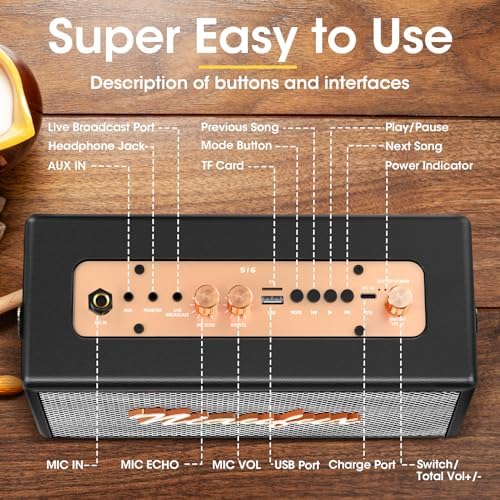 Karaoke Machine, Retro-Design Speaker with 2 Wireless Microphones for Adults & Kids, Portable Karaoke System for Home Party, Bluetooth/AUX/USB/TF/TWS Support, Gifts for Women & Girls