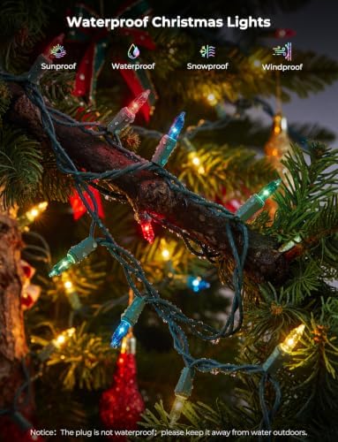 Multi-Colored Christmas Lights, 20FT 100Ct Incandescent Mini String Lights