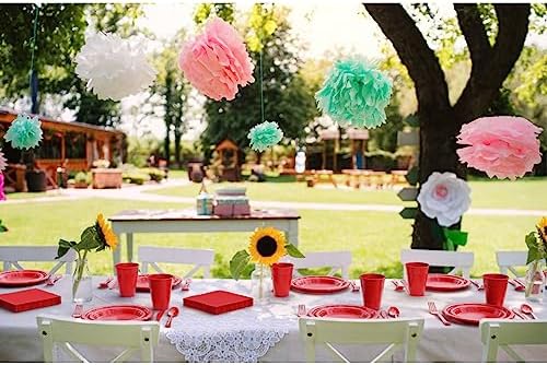 Exquisite 350 Pcs Red Plates and Napkins Party Supplies Plate Sets