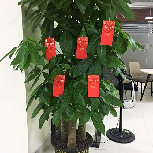 "Honbay 10PCS Chinese Red Envelopes Lucky HongBao Money Pockets, 17.7x8.5cm/6.97x3.35inch - Congratulations and Prosperity (Wedding)"