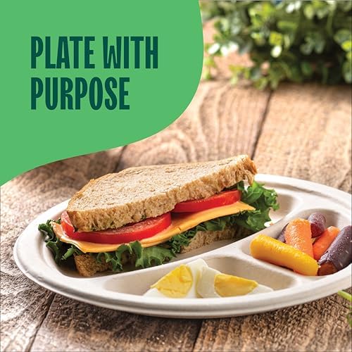 100% Compostable, 3 Compartment, Disposable Paper Plates [125-Pack] 9 Inch Heavy Duty Biodegradable Bagasse Sectional Lunch Trays + Dividers - Divided Platte Tray (PFAS Free) (BPA Certified)