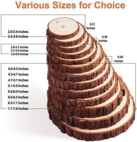Fuyit Unfinished Wood Slices with Hole, Drilled Wooden Circle for Crafts