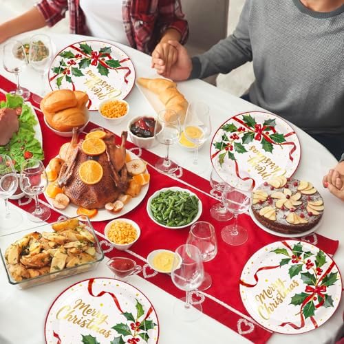 FYSUIMU Christmas Paper Plates Party Plates Xmas Gold Foil Holly Ribbon Disposable Dinner Plate for Winter Holiday New Year Party Tableware Supplies, 40 Pcs