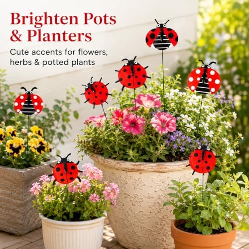RAINFLOW 30 PCS Ladybug Garden Stakes - 25cm Red 3D Plant Picks for Pots