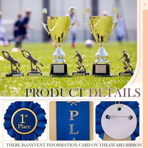 MTLEE Award Ribbons 1st 2nd 3rd Place Ribbon Participation Ribbon Rosette Winner Prize Ribbons First Second Third Medal for School Classroom Recognition 6.5 x 3 Inch (Red White Blue,18 Pcs)