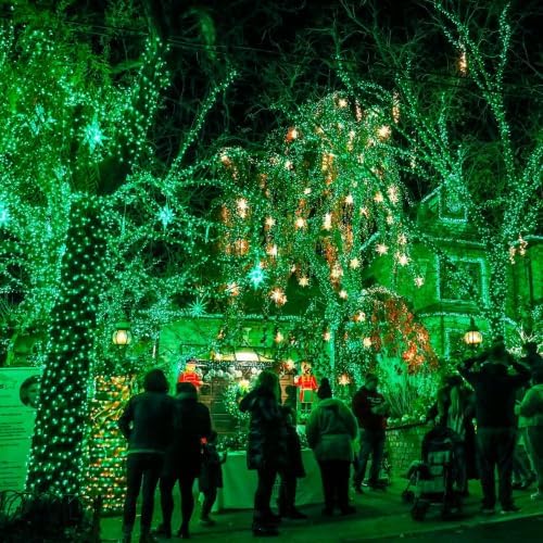 TW SHINE Green Christmas Lights, 200 LED 66FT Outdoor Christmas Lights Plug in with 8 Modes, Waterproof Green Wire St. Patrick's Day Light Outdoor, Indoor Xmas Decorations for Party Yard Room Decor