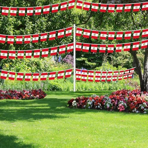 AhfuLife 30 Pcs Peru String Flags for Independence Day Decorations, Small Peruvian Flag Bunting Banner - Double Sided for National Day Festival Party Decorations (5.5×8.3 Inch-33 Ft)