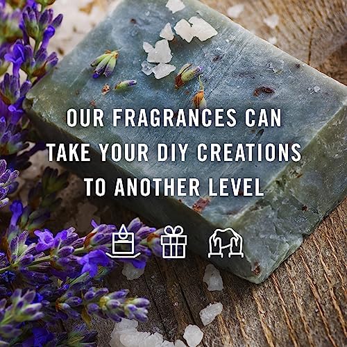 P&J Trading Fragrance Oil | French Vanilla Oil 100ml - Candle Scents for Candle Making, Freshie Scents, Soap Making Supplies, Diffuser Oil Scents