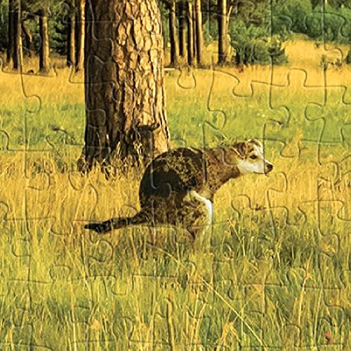 Prank-O 500-Piece Puzzles, Hidden Image (Alone at Last)