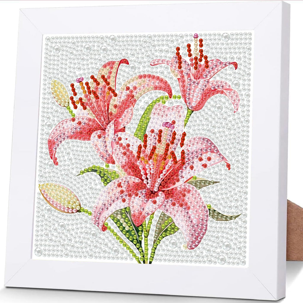 Tiwabb Diamond Art Kit for Kids with Frame,Lily Diamond Painting for Kids