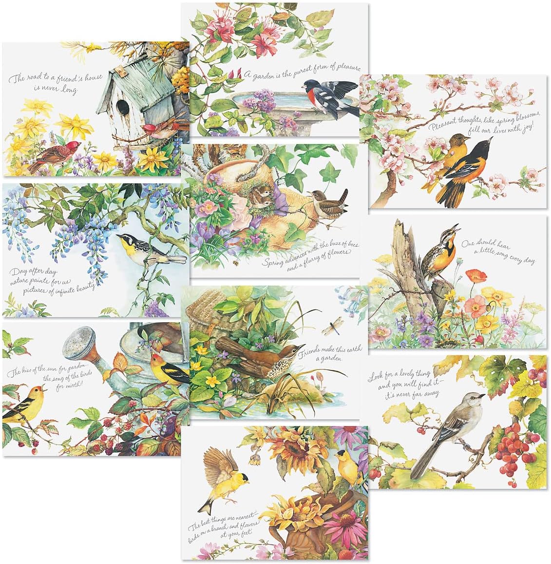 Current Nature's Serenade Thinking of You Cards Religious with Envelopes - Assortment of 20 Greeting Cards, 10 Designs, Large 5" x 7" Christian Thinking of You Cards