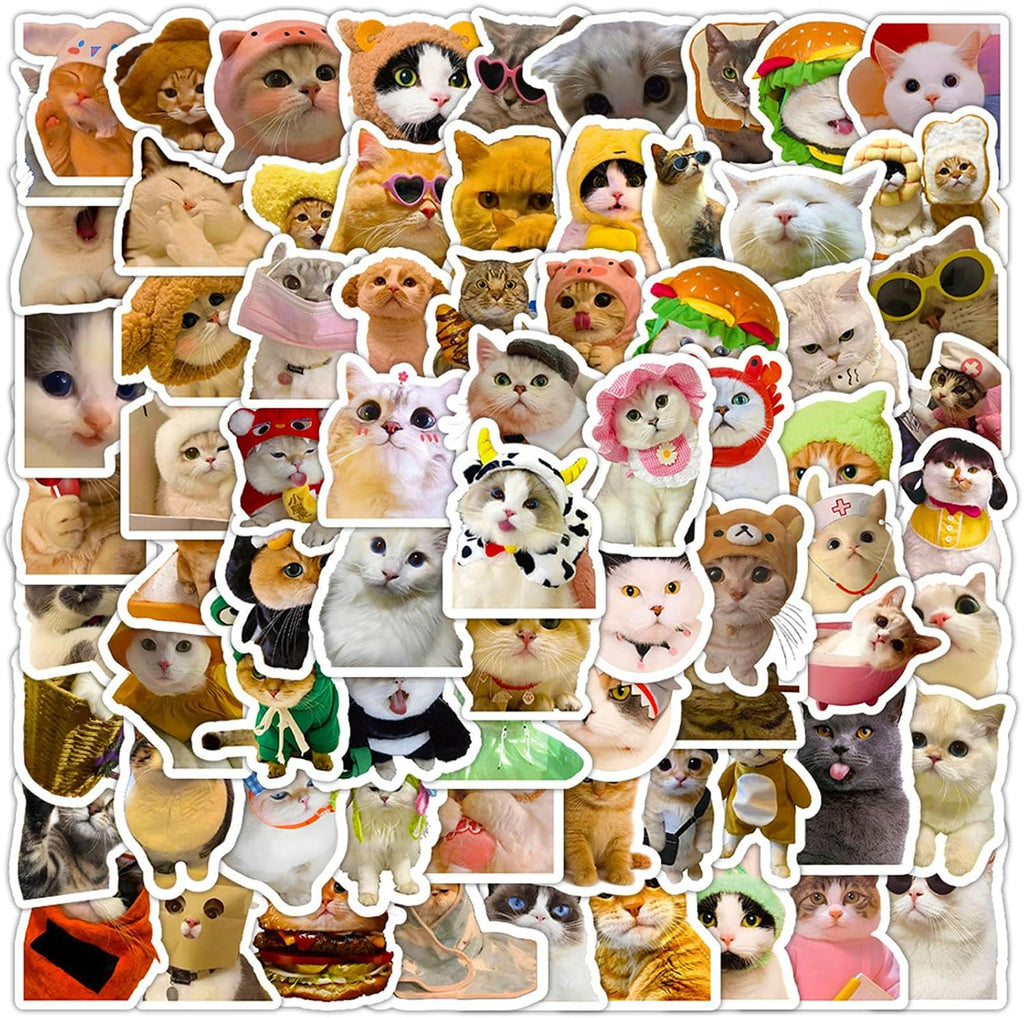 DothRayan Cat Stickers, 100 Pcs Fun Cat Waterproof Stickers, Vinyl Stickers for Water Bottle, Laptop, Phone Stickers for Kids Teens Girls Adults
