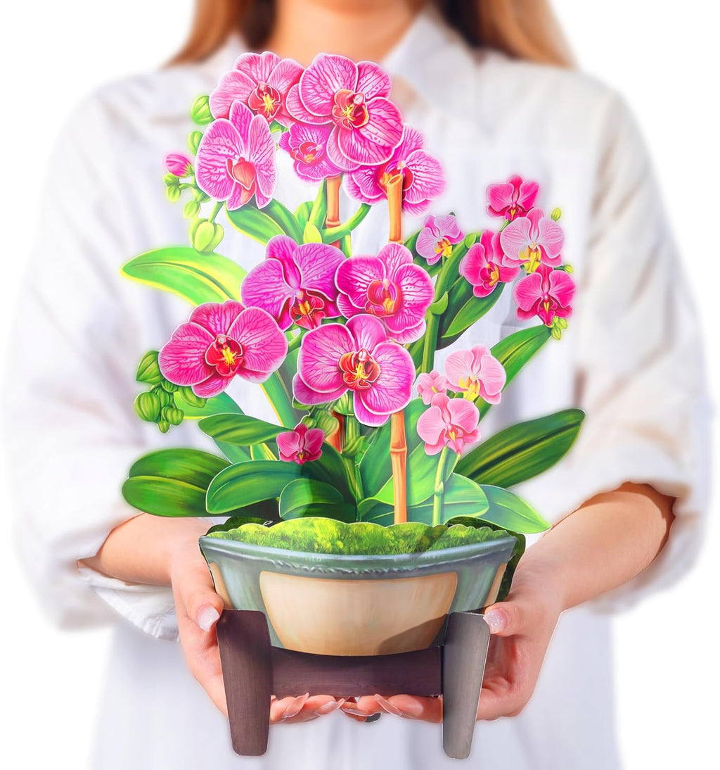 Airpark Pop Up Flower Bouquet Card for Women, 3D Floral Greeting Card with Envelope and Note, Birthday Thank You Thinking of You Get Well Gift for Mom Friend Wife Teacher, Orchid
