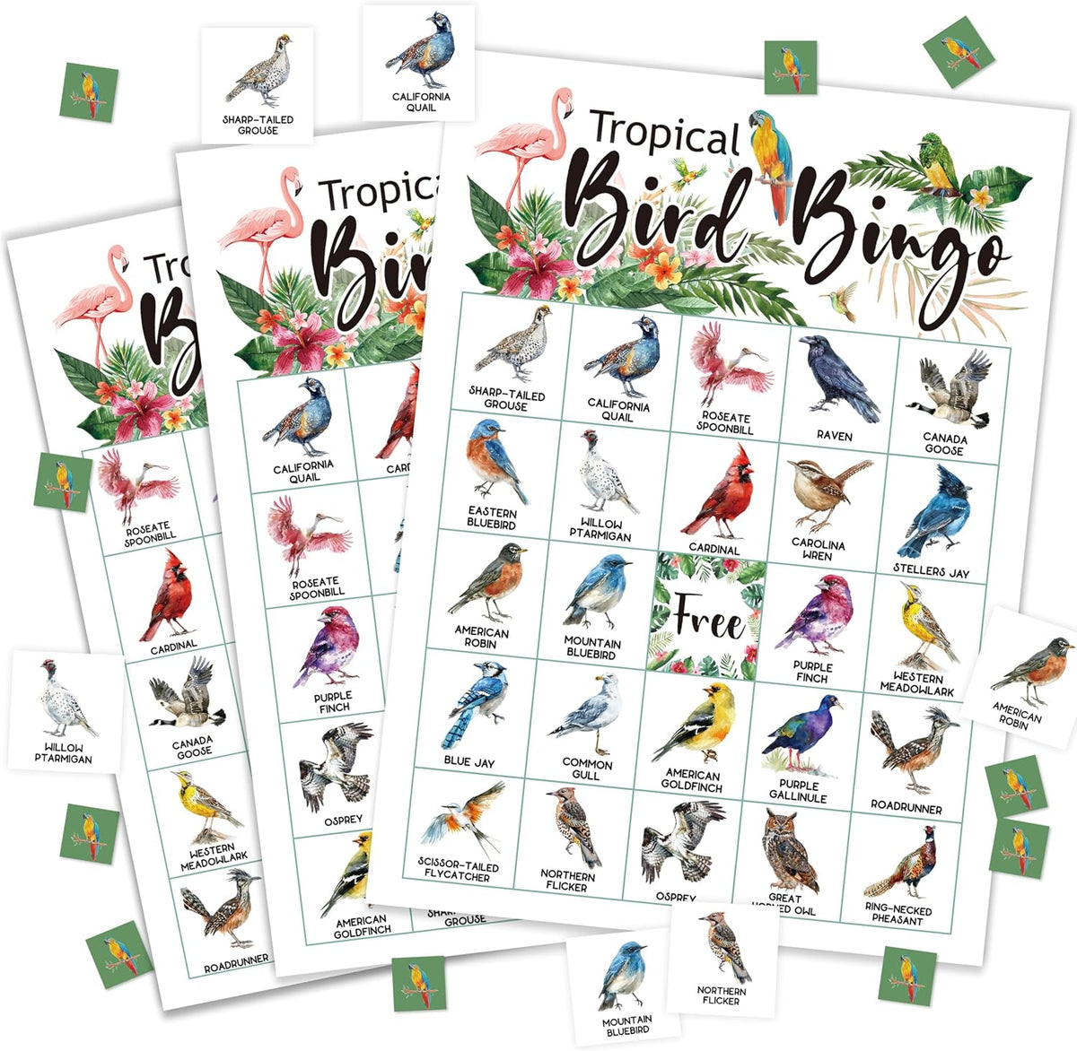 Bird Bingo Game Cards for Adults, Backyard Birding Bingo Cards Game for Family Holidays Friends Gatherings, Ideal for Bird Themed Party Game, 24 Players Birthday Party Supplies Favors, 001
