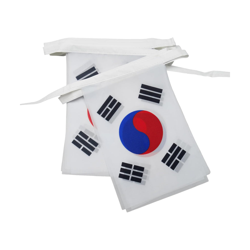 AZ FLAG South Korea Bunting 20 ft 20 flags Light Polyester