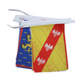AZ FLAG 22 French Metropolitan regions Bunting 23 ft 22 flags