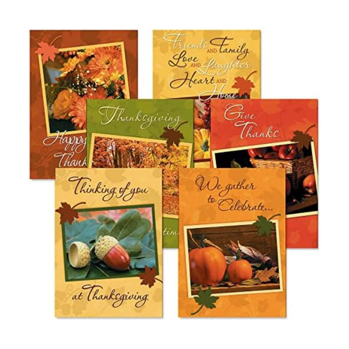 Current Photo Thanksgiving Greeting Cards Set - Themed Fall Holiday Card Variety Value Pack, Set of 12 Large 5 x 7-Inch Cards, Assortment of 6 Unique Designs, Envelopes Included