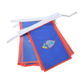 AZ FLAG Guam Bunting 20 ft 20 flags Light Polyester