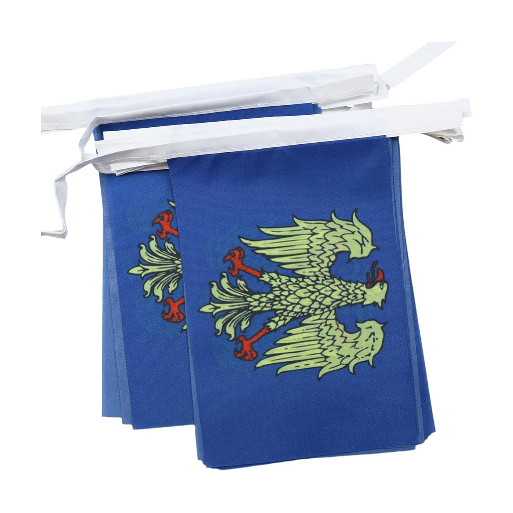 AZ FLAG Friuli-Venezia Giulia Bunting 20 ft 20 flags Light Polyester