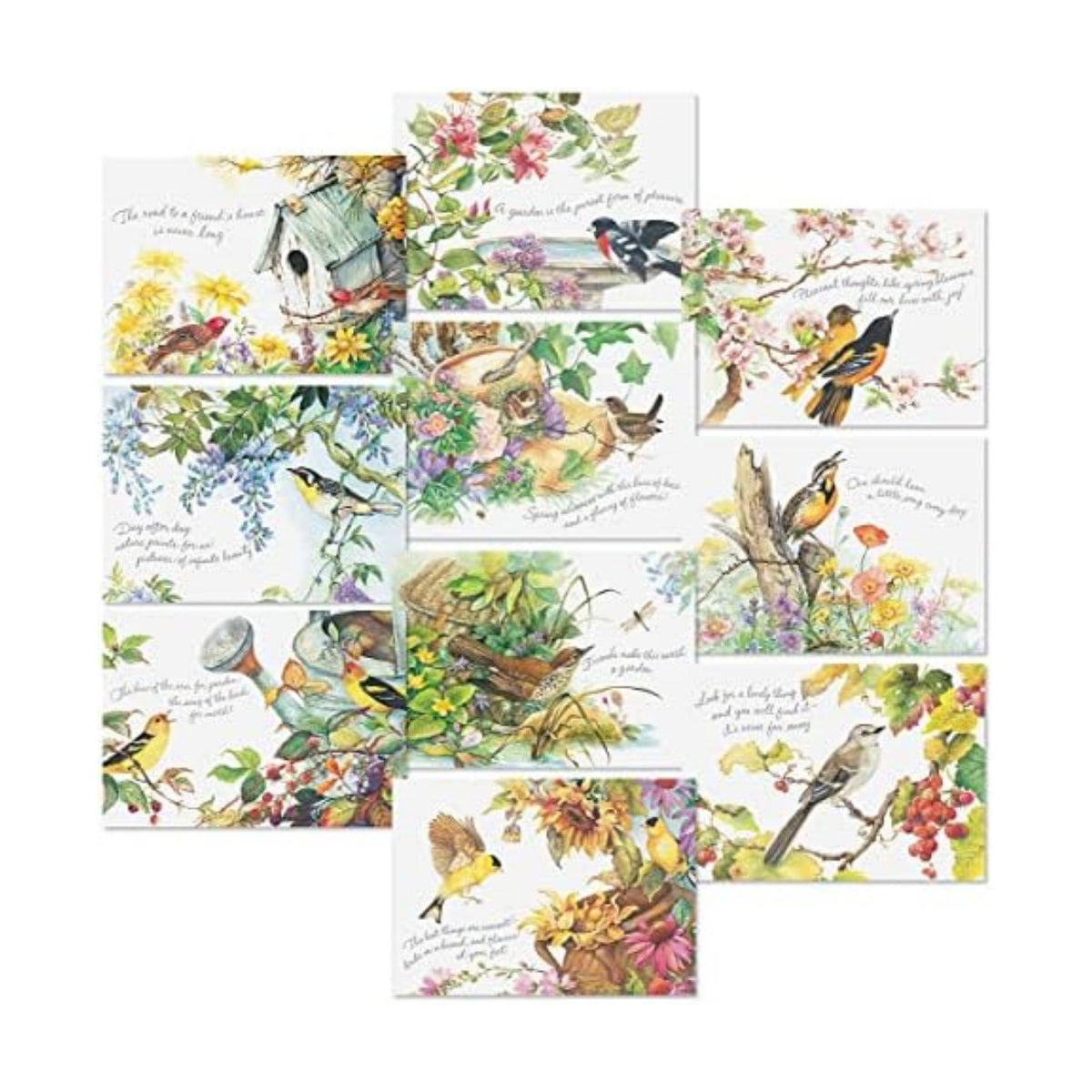 Current Nature's Serenade Thinking of You Cards Religious with Envelopes - Assortment of 20 Greeting Cards, 10 Designs, Large 5" x 7" Christian Thinking of You Cards