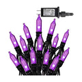 Dazzle Bright 200 LED Halloween Mini String Lights, 65FT Light Up 8 Modes Halloween Decorations Fairy Lights for Indoor Outdoor Room Garden Holiday Party (Purple)