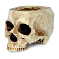 READAEER Skull Planter with Drain Hole, Resin Skull Shaped Flower Pot Candy Bowl, Gothic Decoration for Home Office Desk- White