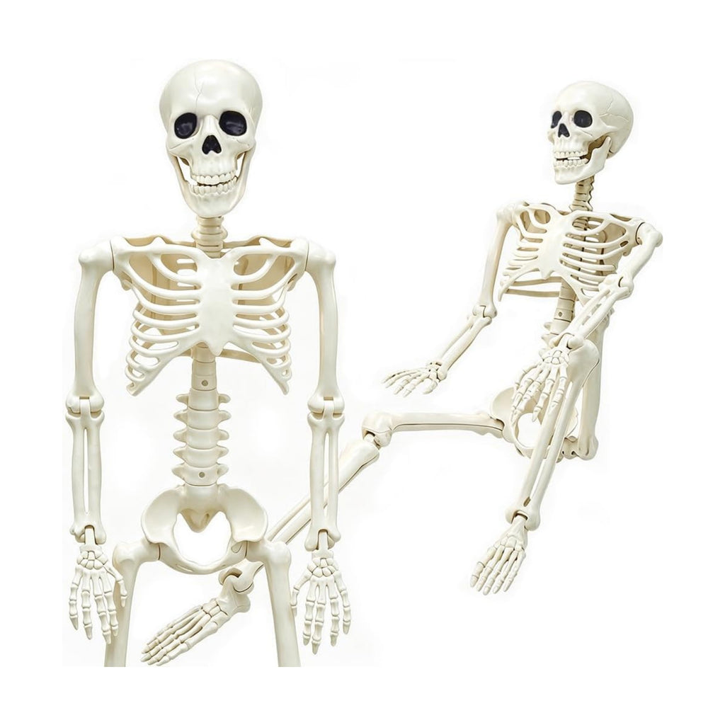 36" Skeleton Halloween Decorations, 3FT Life Size Skeleton Posable Joints
