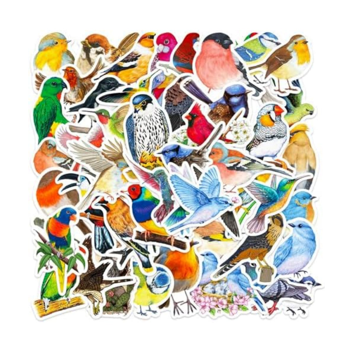DothRayan 100 Pcs Birds Stickers Cute Bird Animals Stickers, Vinyl Waterproof Birds Sticker for Kids Teen Water Bottles Laptop Luggage Phone Skateboard Computer Refrigerators