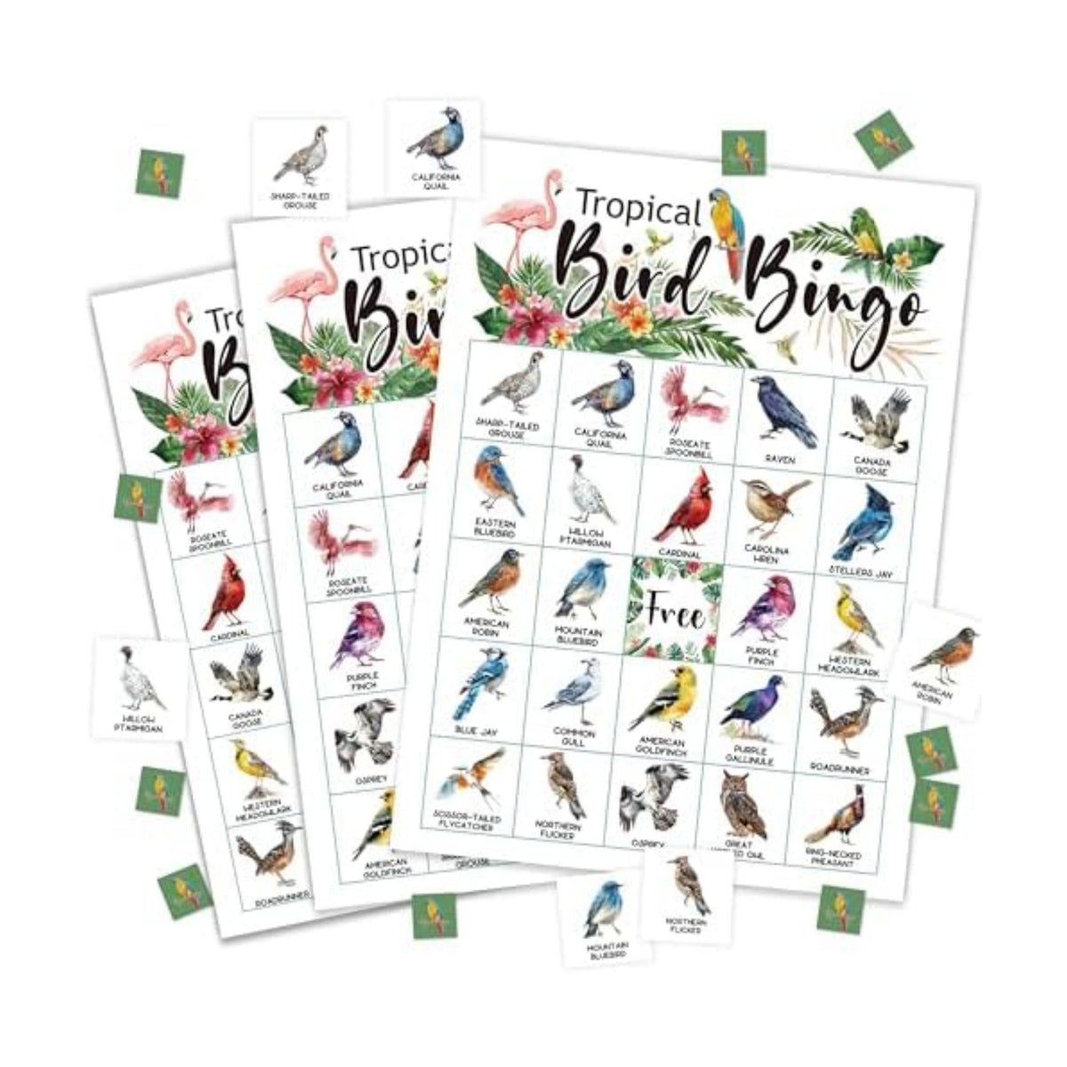 Bird Bingo Game Cards for Adults, Backyard Birding Bingo Cards Game for Family Holidays Friends Gatherings, Ideal for Bird Themed Party Game, 24 Players Birthday Party Supplies Favors, 001