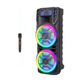 Dual 12’’ Wireless Bluetooth Party Speaker with Microphone