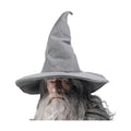 NTIERA Witch Hat, 18IN Wizard Hat Cosplay Accessories for Halloween Costume Party Christmas Masquerade Carnivals