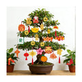KYMY Chinese New Year Hanging Ornaments Set – 50pcs Red & Gold Lucky Decorations with Coins, Fu Charms & Lanterns, 2026 Zodiac Horse Year Spring Festival Pendants for Tree, Branch & Home Decor