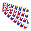 AhfuLife 30 Pcs Philippines String Flags for Independence Day Decorations, Small Filipino Flag Bunting Banner - Double Sided for National Day Christmas Party Decorations (5.5×8.3 Inch-33 Ft)