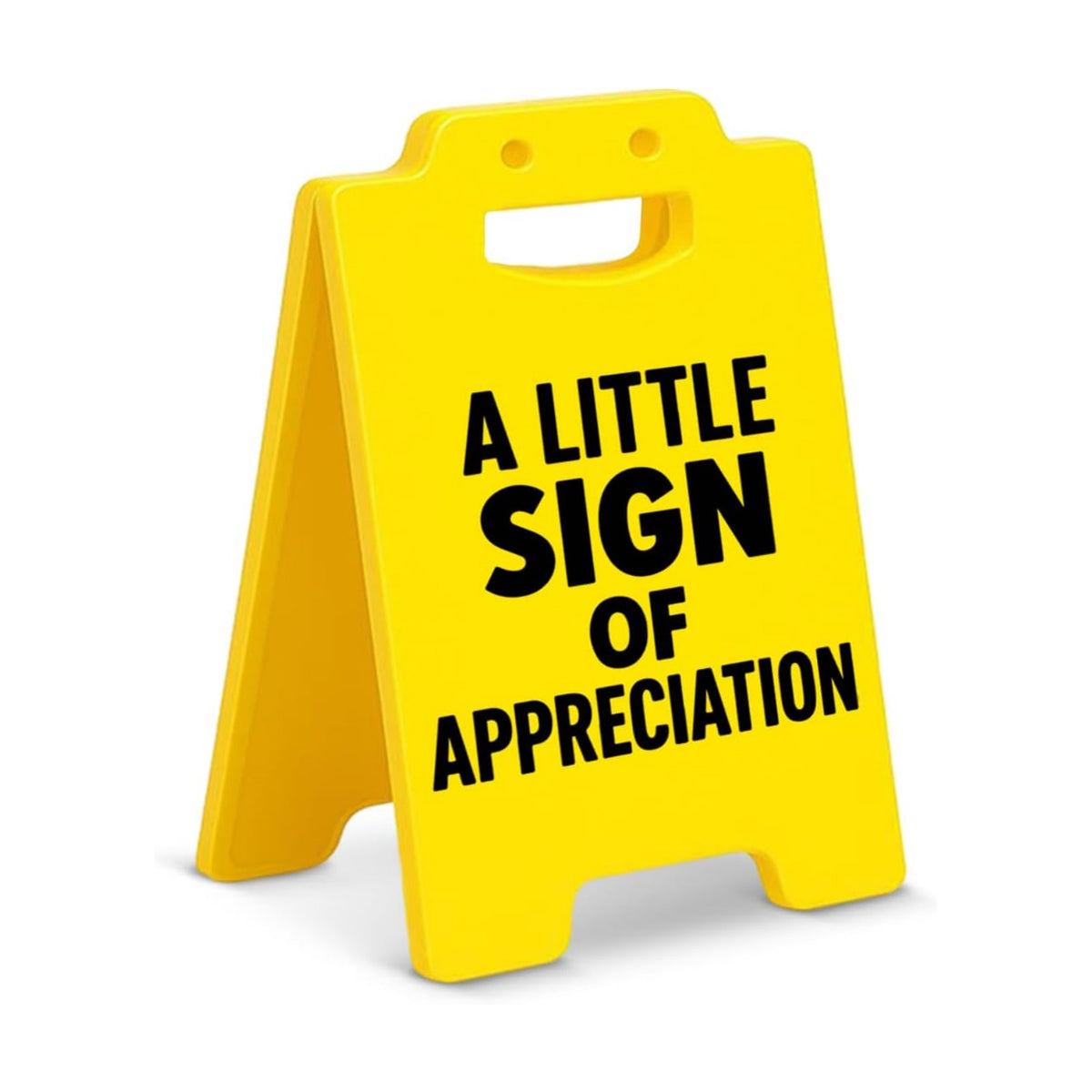 Appreciation Gifts for Employee Coworker Team Thank You Gifts for Women