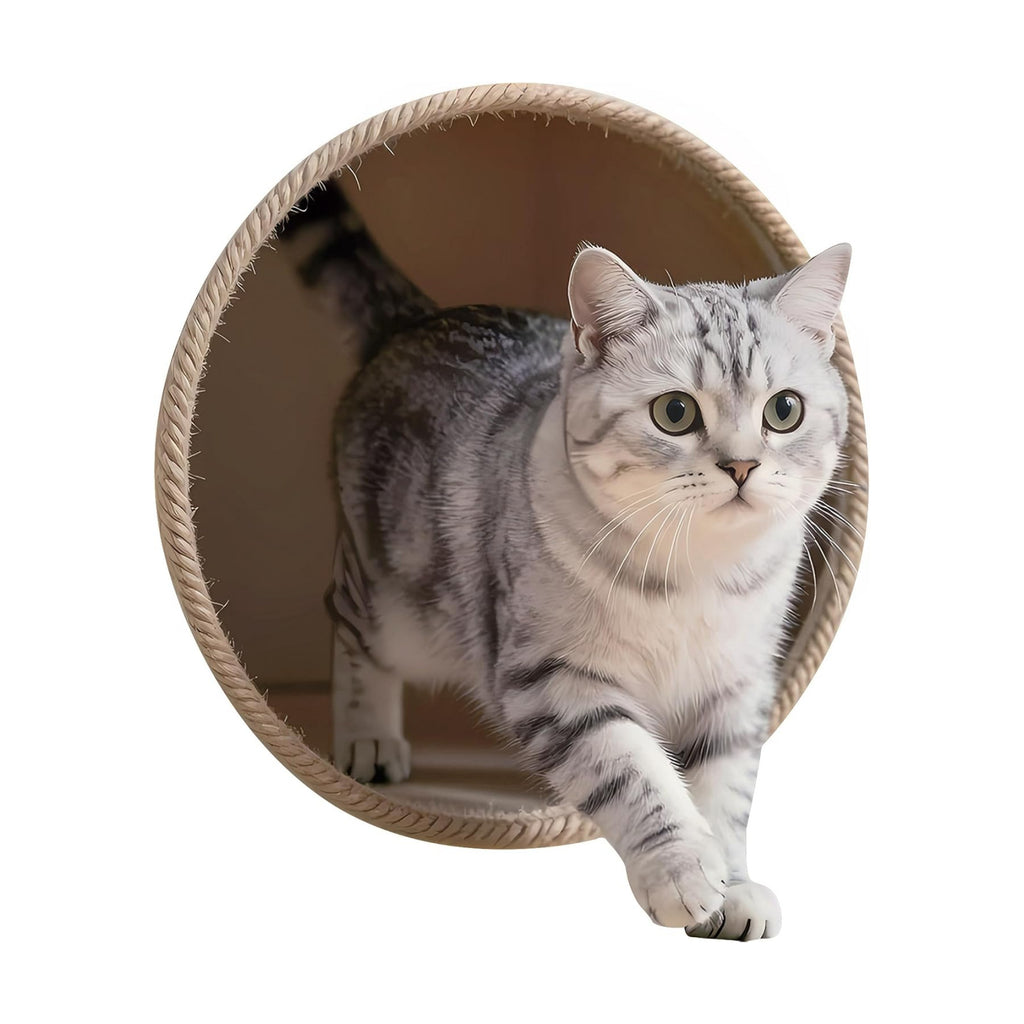 FLFK Cute Cat Wall Decal - Removable Peel and Stick Cat Sticker with 3D Effect for Toilet Kitchen Offices, Tabby Stepping Out