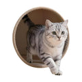 FLFK Cute Cat Wall Decal - Removable Peel and Stick Cat Sticker with 3D Effect for Toilet Kitchen Offices, Tabby Stepping Out