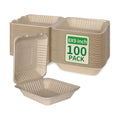Aricsen Disposable 100 Pack 8×9 Inch Takeout Lunch Box Containers with Lids