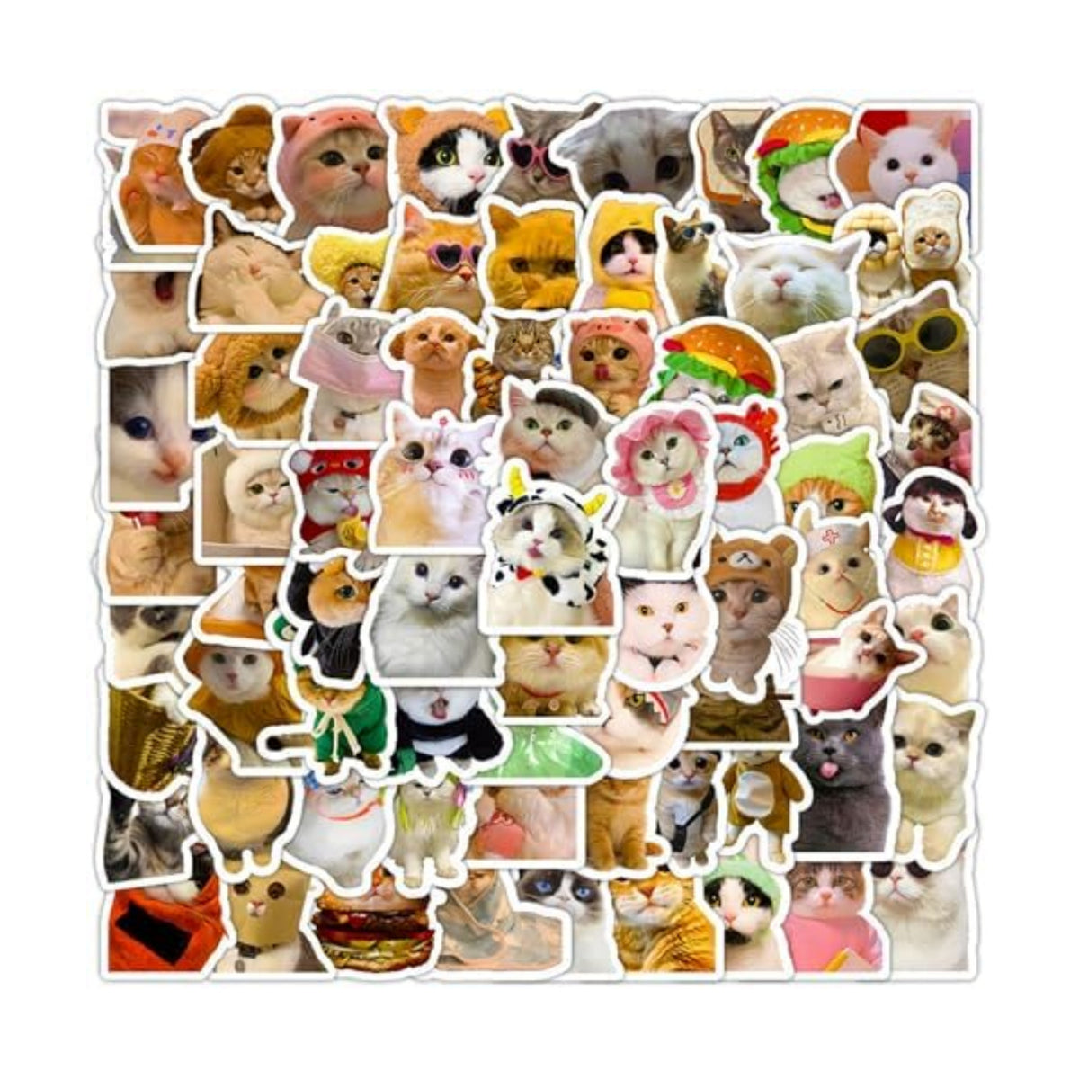 DothRayan Cat Stickers, 100 Pcs Fun Cat Waterproof Stickers, Vinyl Stickers for Water Bottle, Laptop, Phone Stickers for Kids Teens Girls Adults