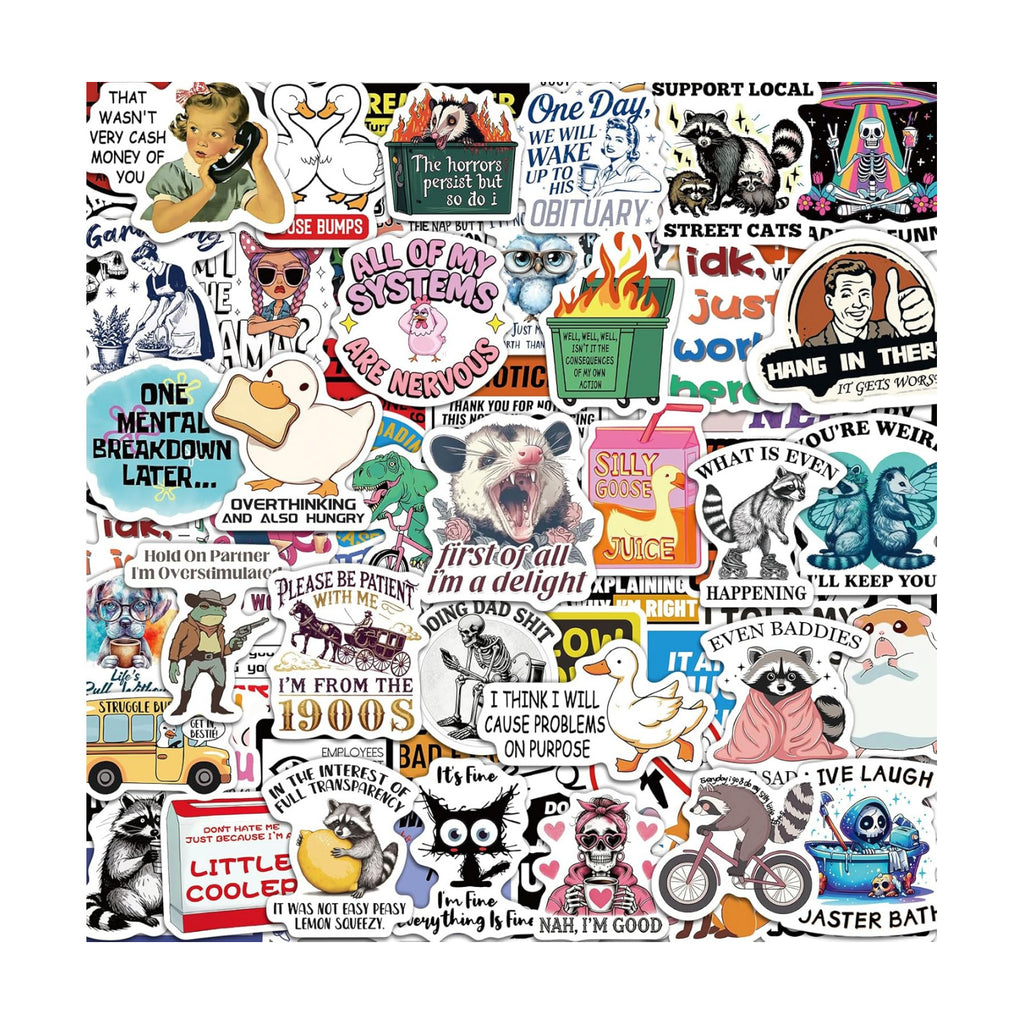 300 Pcs Funny Stickers for Adults, Sticker Pack for Water Bottle Laptop