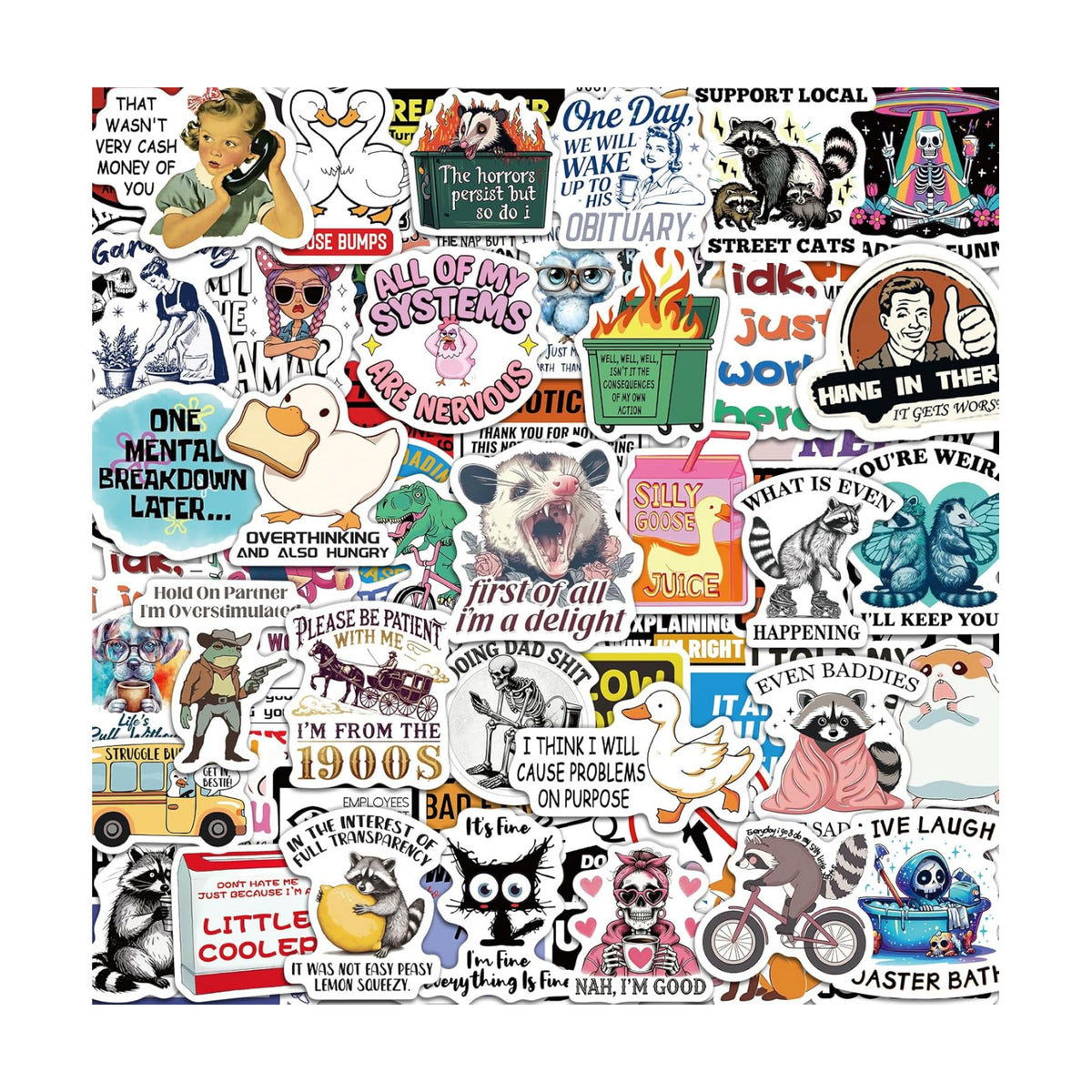 300 Pcs Funny Stickers for Adults, Sticker Pack for Water Bottle Laptop