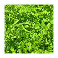 10 LB Fluorescent Green Crinkle Cut Paper Shred Filler Great for Gift Wrapping, Basket Fillers, Birthday, Gift Wrapping, Anniversary, Halloween Thanksgiving Christmas Party Decor Filling Supplies