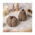 winemana 2 Pack Fall Pumpkin Decor, Woven Resin Pumpkins for Indoor Home
