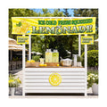 Fresh Lemonade Banner, Ice Cold Fresh Squeezed Lemonade Stand Banner, Summer Banner Order Here Pick up Here Signs for Indoor Outdoor Restaurant Truck Decorations