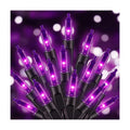 Purple LED Halloween Lights Indoor Outdoor, 33FT 100LED Mini String Lights