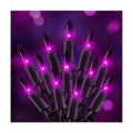 20FT Purple Outdoor Halloween String Lights for Indoor Haunted House Decor