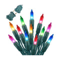 Multi-Colored Christmas Lights, 20FT 100Ct Incandescent Mini String Lights